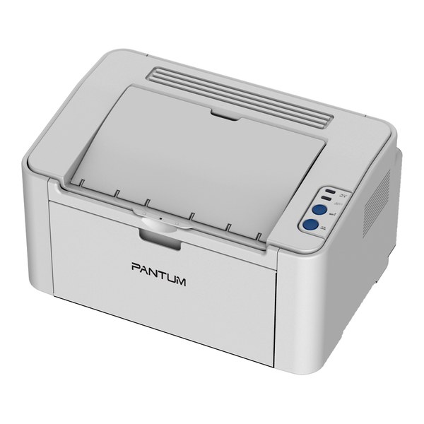 Pantum P2200